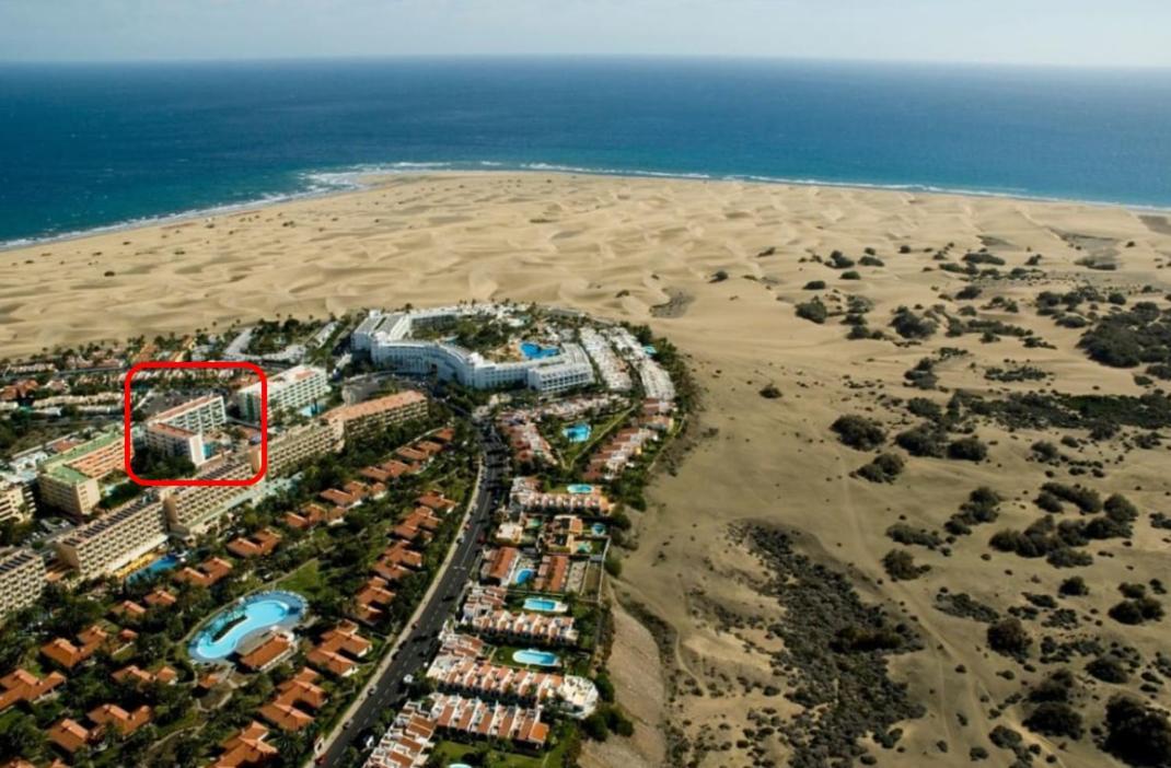 Apartment Palm Trees View Of The Dunes Playa del Inglés Exterior foto